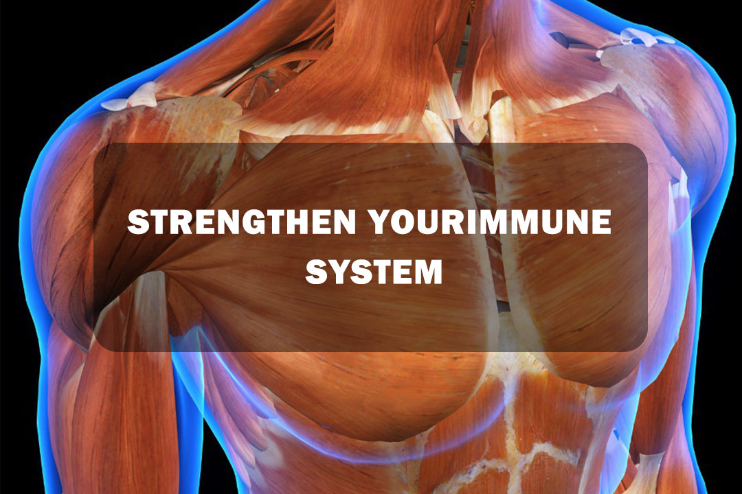 STRENGTHEN YOURIMMUNE SYSTEM