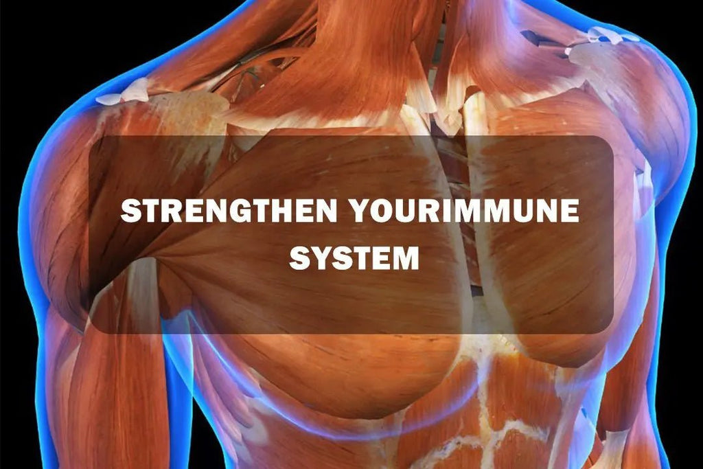 Strengthen your immune system - HKXSC-SAUNA